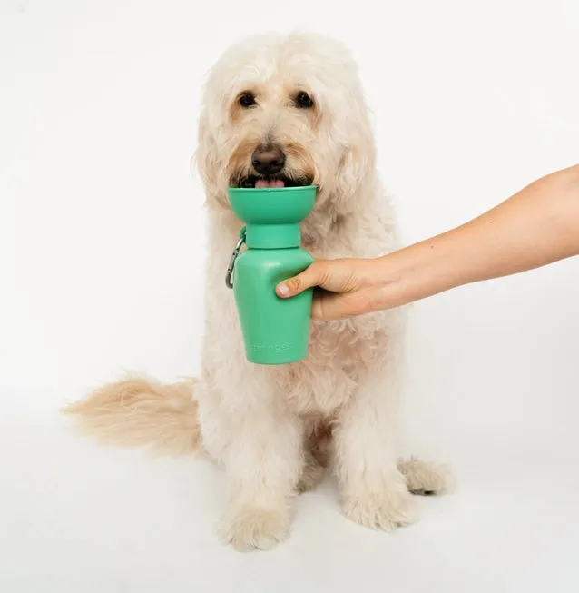 Springer Flip Travel Dog Water Bottle - Green