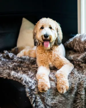 Waterproof Faux Fur Dog Blanket