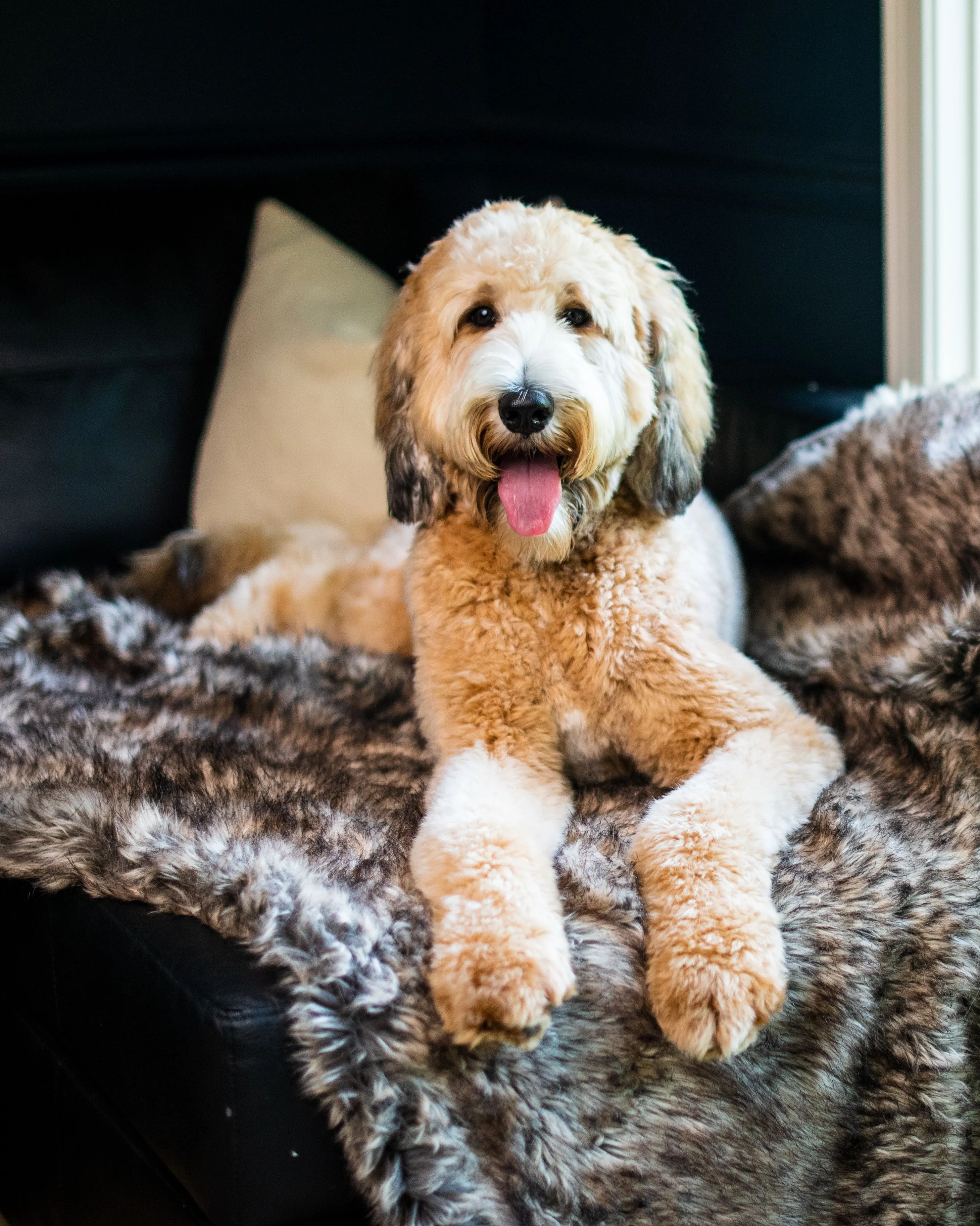 Waterproof Faux Fur Dog Blanket